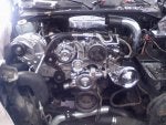 downsized_0909081511_1__202.jpg